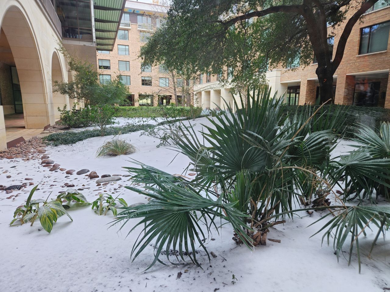 DDTX26 ice storm — photo by Lena Hall