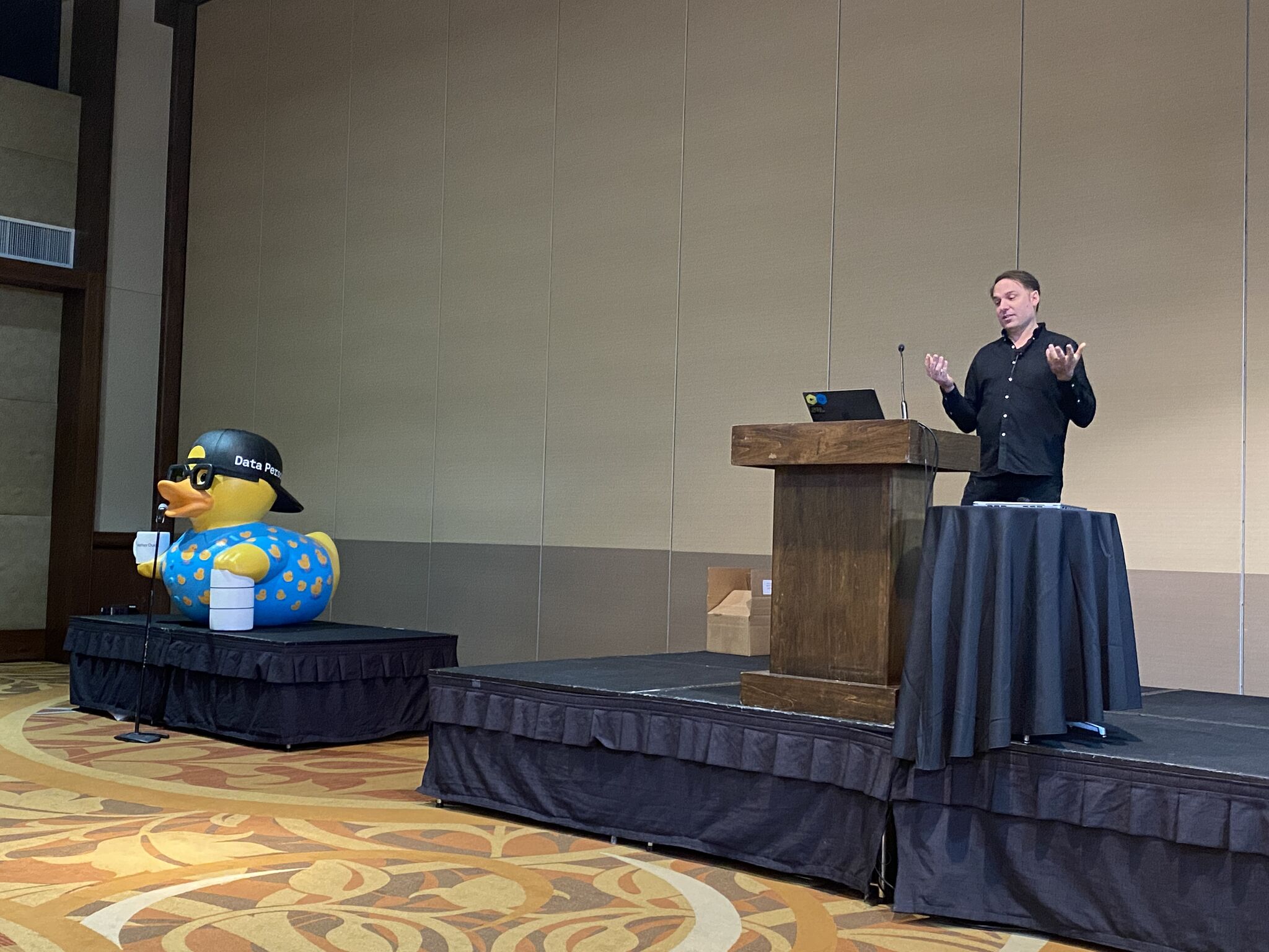 Hannes Muhleisen and The Duck